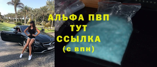 тгк Весьегонск