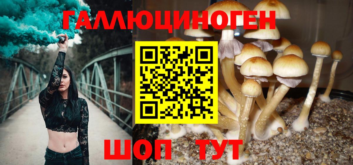 Псилоцибиновые грибы мицелий  Вход с VPN  где найти наркотики  Россошь 