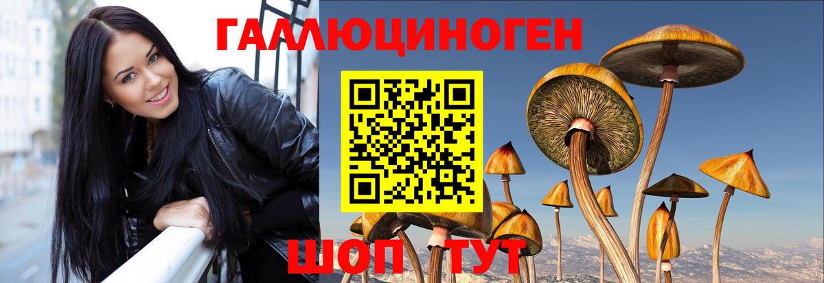 Псилоцибиновые грибы мицелий  Псилоцибиновые грибы прущие грибы  где продают   Россошь 