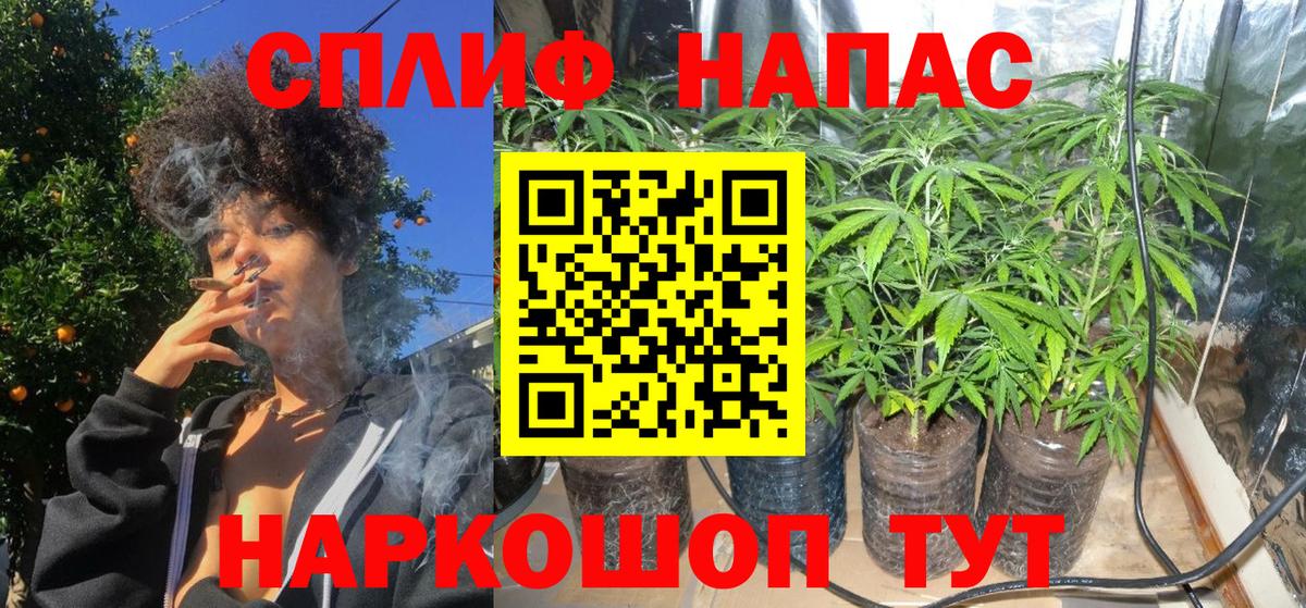 Россошь  Канабис SATIVA & INDICA  Конопля Ganja  Вход с VPN  Шишки марихуана Ganja 